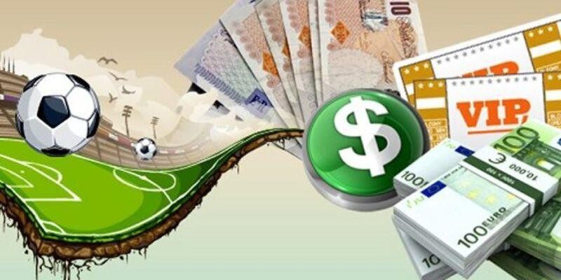 Lựa chọn những trận đấu phù hợp Lựa chọn những trận đấu phù hợp